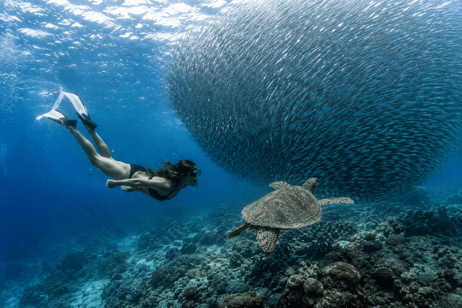Cebu South Adventure